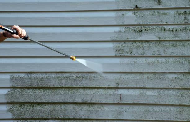 Certified Mold Removal in Orland Hills, IL